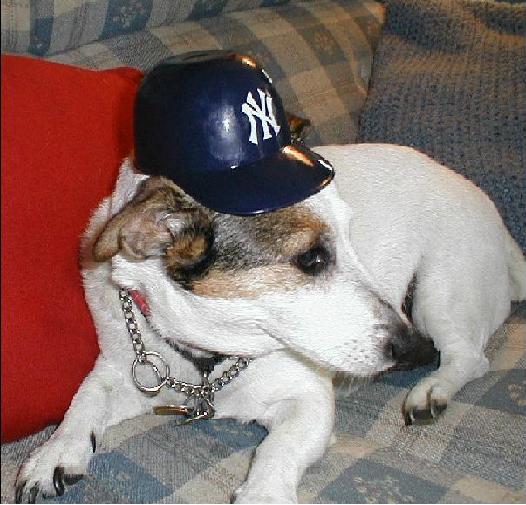 minniewithyankee.jpg